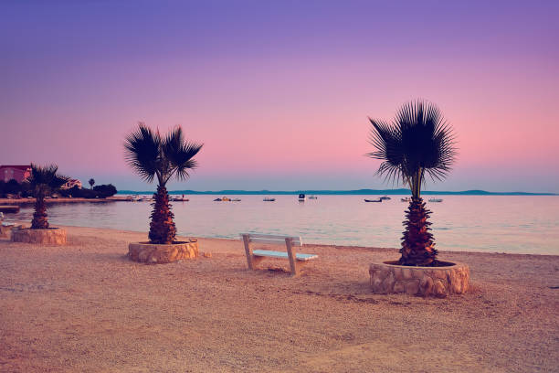 Prezida beach on island Vir in Croatia on sunset. Single white bench and two palm trees. Purple and pink sunset over Adriatic sea.