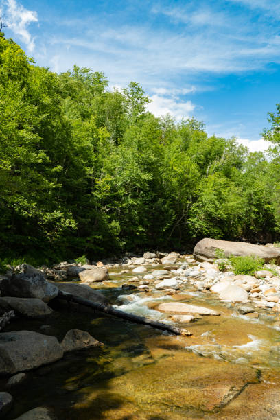 istock River trail in New Hampshire 1264720409