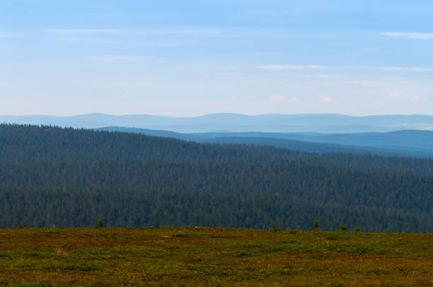 A beautiful natural view of the wilderness at the peak of Kaunispää fell in Saariselkä, Lapland. stock photo