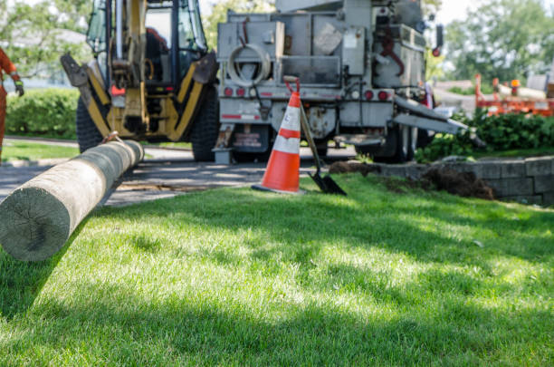 istock Ready to plant an electric pole in the ground 1264721488