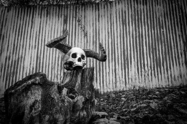 istock Halloween Skull Demon Horns 1264724018