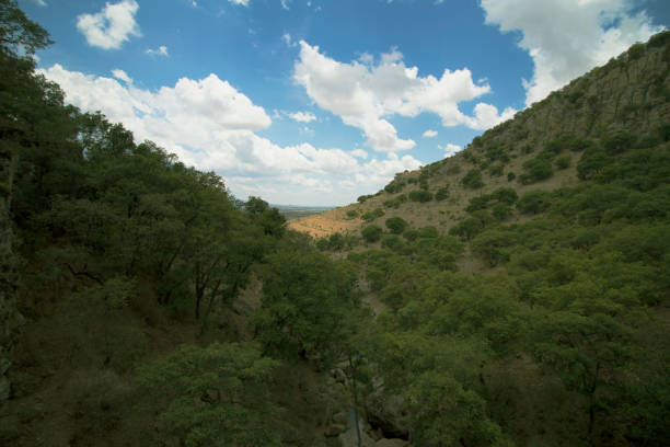 istock View from a hill towards the valley 1264726060