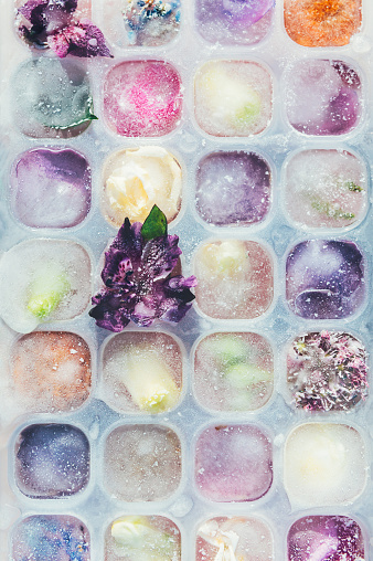 Frozen Flowers in Ice Cubes on Light Background, floral ice