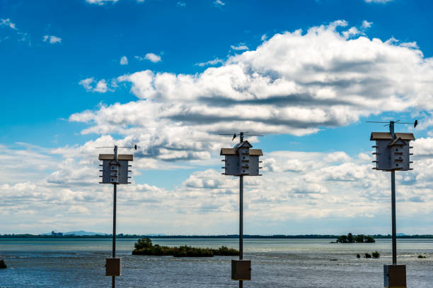 istock Scenic view of St. Lawrence river 1264740912