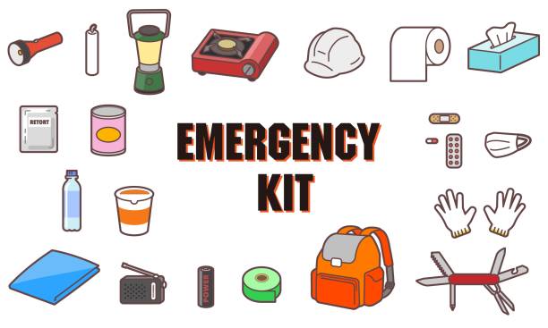 ilustrações de stock, clip art, desenhos animados e ícones de emergency goods of illustrations, such as a mask - food staple audio