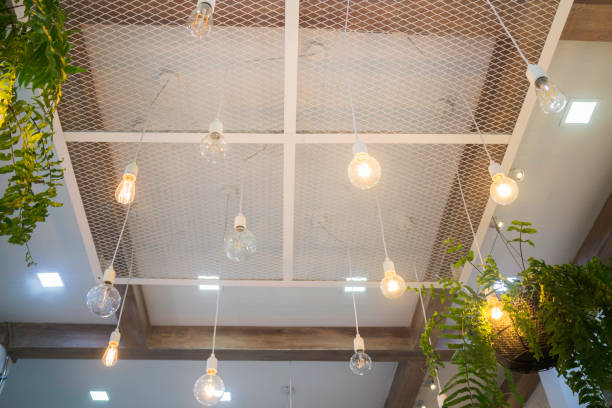 istock Fern in plant pot hanging on ceiling 1264754975