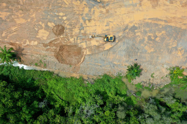Deforestation Logging. Aerial drone view of deforestation environmental problem in Borneo. Rainforest is destroyed for palm oil industry. Forest trees cut down environmental issue deforestation stock pictures, royalty-free photos & images