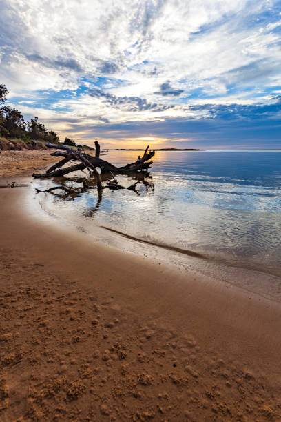 istock Sunrise near the seashore 1264763179