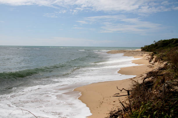 istock deserted trancoso beach 1264766706