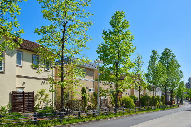 istock Fresh green city lined with houses 1264773993