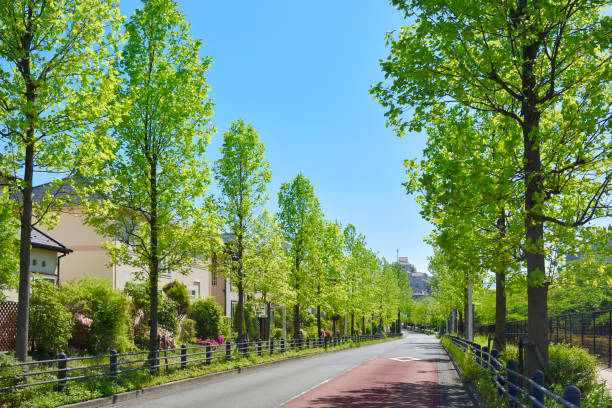 Fresh green city