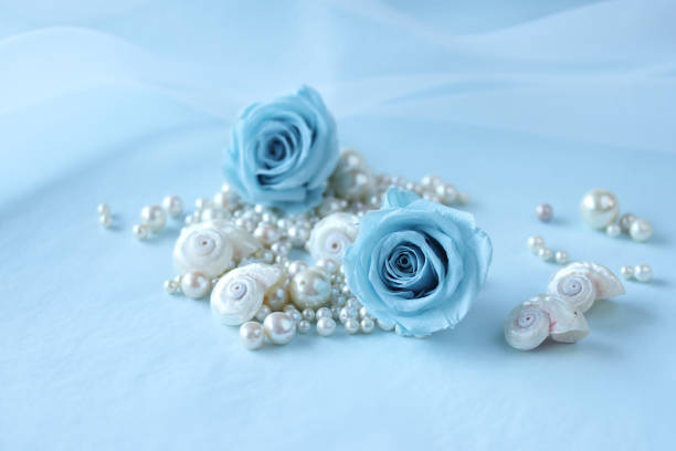 background of blue roses and shells and pearl