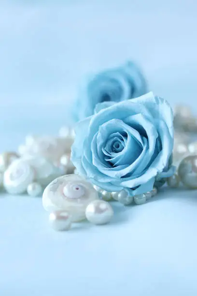 Photo of background of blue roses and shells and pearl