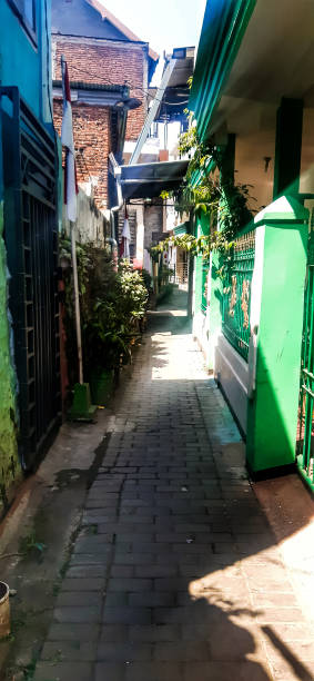 istock Neighbourhood in the alley 1264782652