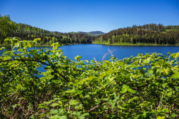 istock Beautiful nature landscape at German National Park 1264782673