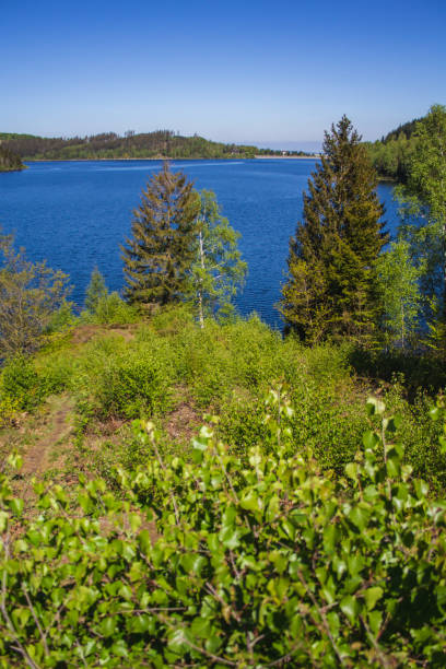 istock Beautiful nature landscape at German National Park 1264782693