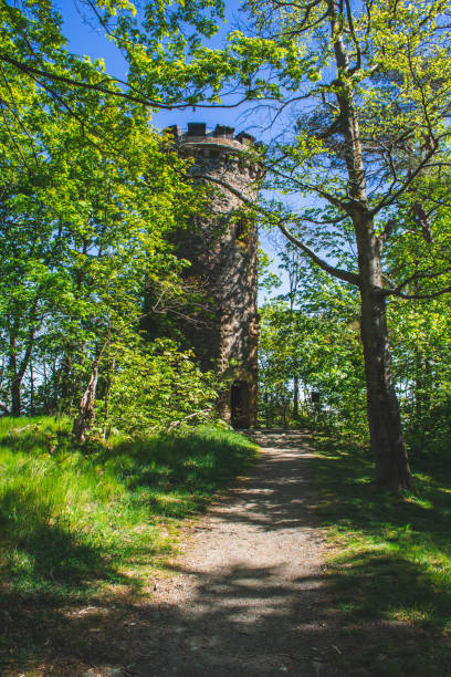 istock Beautiful nature landscape at German National Park 1264782768