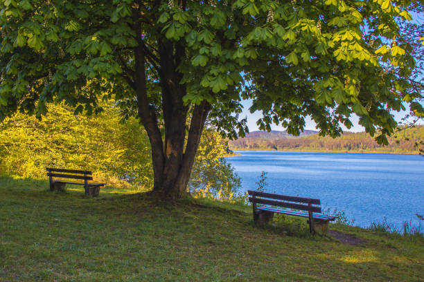 istock Beautiful nature landscape at German National Park 1264782847