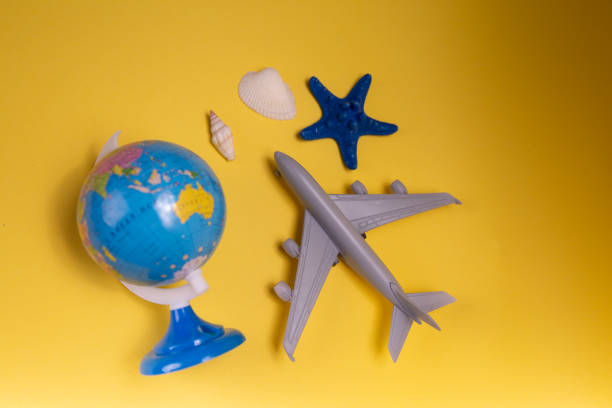 istock Travel by plane around the world. A small plane, a globe and a starfish. 1264783527