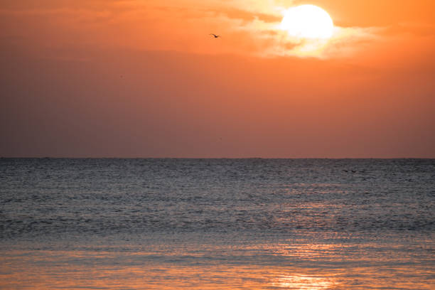 The sun rises over the sea