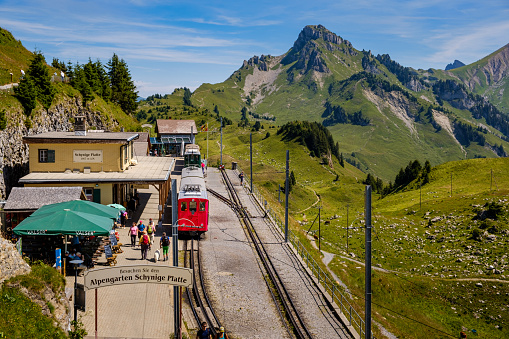 Schynige Platte, Bernese Oberland, Switzerland - August 1 2019 : high angle view on train station, tourists and red train in beautiful mountain panorama green alpine pastures and clear blue sky
