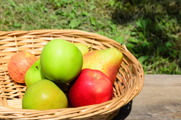 istock Ripe fruit in a wicker basket on a rough wooden surface. Apples and pears in a rustic style. 1264797352