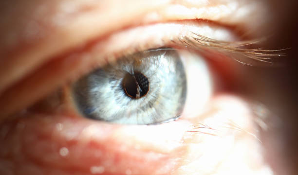 istock Male gray and blue colored eye extreme 1264797577