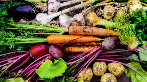istock Harvest of Fresh organic vegetables 1264797703