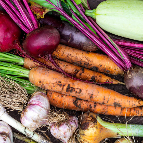 istock Crop of Fresh organic vegetables 1264797726
