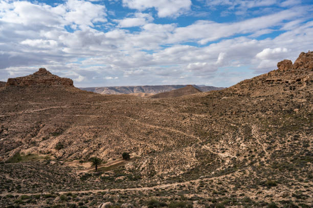 istock Zammour, south town in Tunisia 1264804152