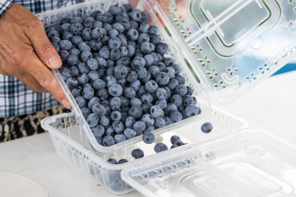 istock Fresh natural blueberries in plastic packaging isolated. 1264804671