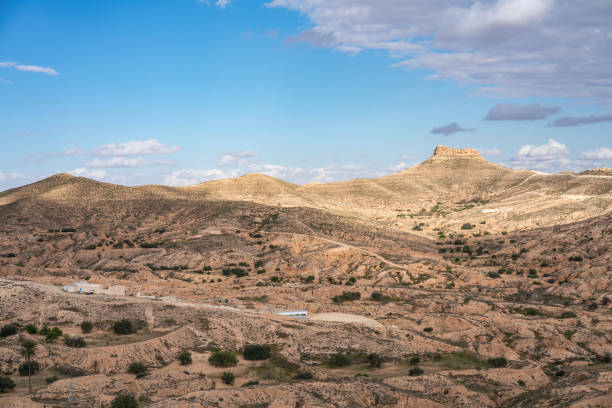 istock Zammour, south town in Tunisia 1264805317