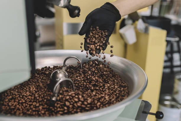 istock Someone using hand to filter out those unusable coffee beans from the cooling tray stock photo. 1264806571