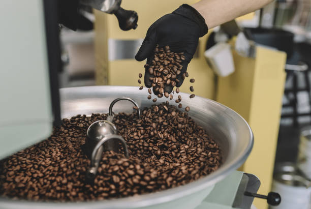 someone using hand to filter out those unusable coffee beans from the cooling tray stock photo. - unusable imagens e fotografias de stock