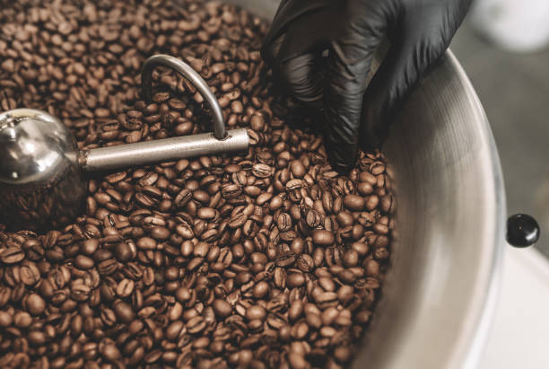istock Someone using hand to filter out those unusable coffee beans from the cooling tray stock photo. 1264809188