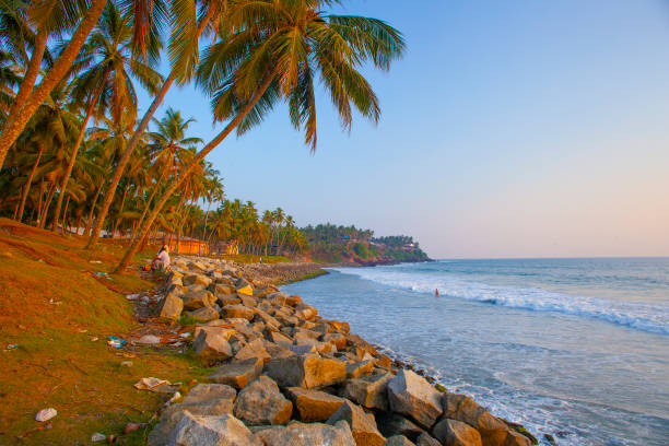 istock Beautiful sea and palms around Varkala beach, Kerala, India 1264809280