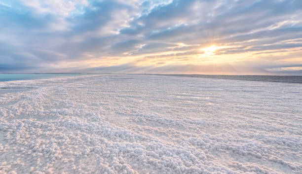 kristalliner weißer salzstrand von morgensonne beleuchtet, kleine pfützen mit meerwasser am toten meer - weltam hypersaline see - hypersaline stock-fotos und bilder