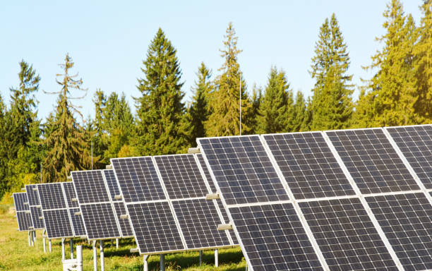 istock Solar panel collectors in forest, coniferous trees background, clear sky above, closeup detail 1264813363