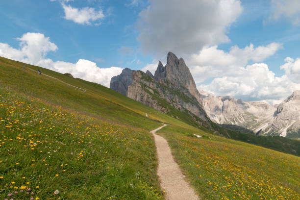 istock Odles group seen from hiking trail on Seceda mountain in summer 1264816454