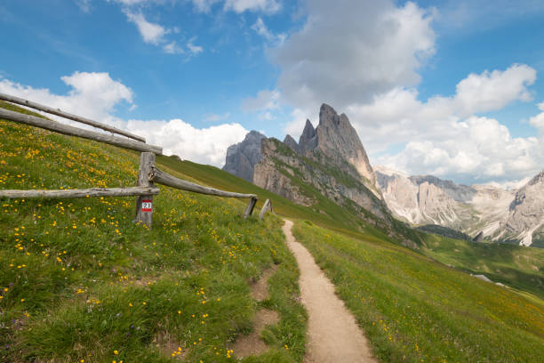 istock Odles group seen from hiking trail on Seceda mountain in summer 1264816495
