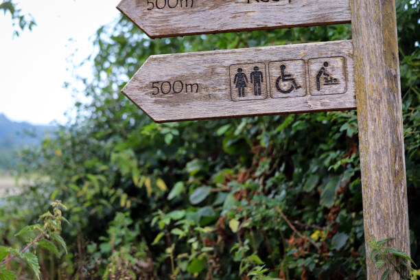 istock Wooden sign post for the toilets 1264816643