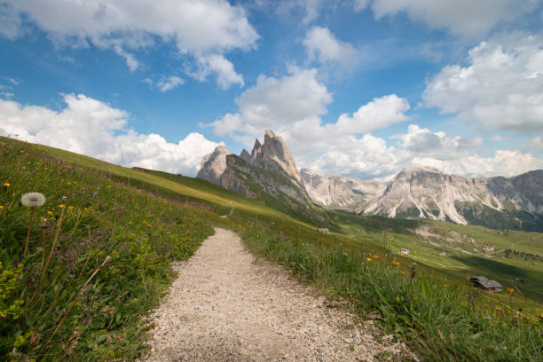 istock Odles group seen from hiking trail on Seceda mountain in summer 1264817371