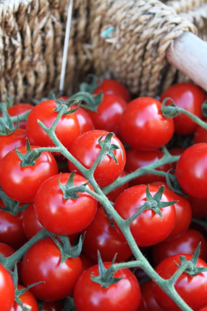 istock Close up of bright red tomatoes 1264817740