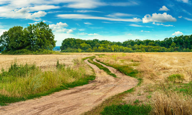 Winding country road