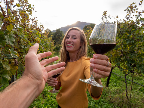 couple cheering with glass of wine in vineyard