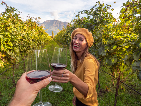 couple cheering with glass of wine in vineyard