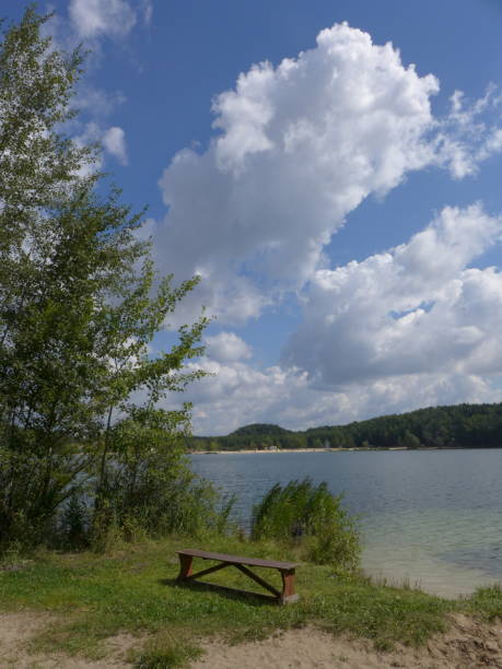 istock Single bench on the forest lakeshore 1264824168