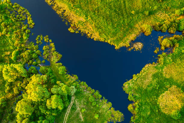 istock Lake in the meadows 1264829026