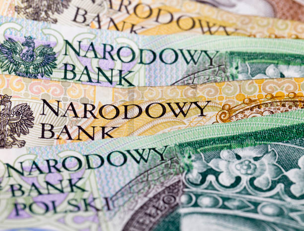 istock new banknote cash Polish money 1264833768