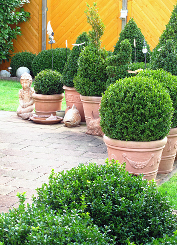 Gardendesign with buxus balls and flower pots.